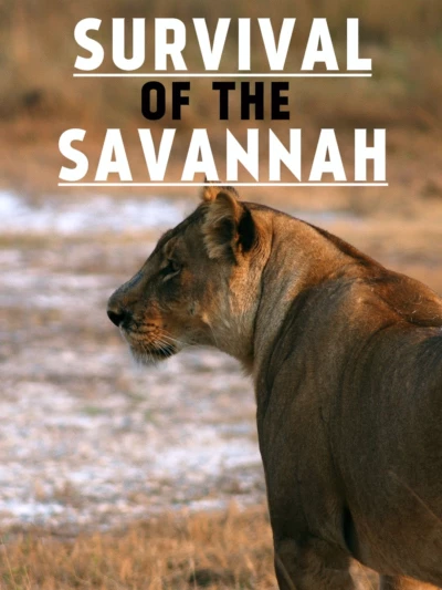 Survival on the Savannah