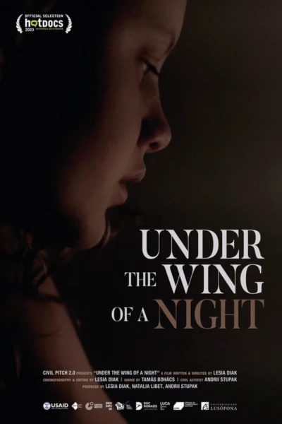 Under the Wing of a Night