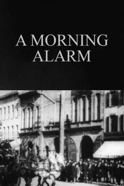 A Morning Alarm