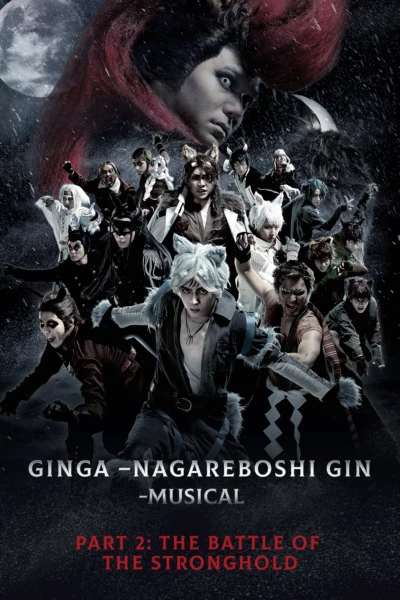 Ginga -Nagareboshi Gin- Gajo Kessen Hen (The Battle of the Stronghold)