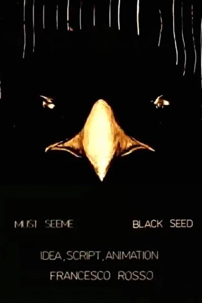 Black Seed