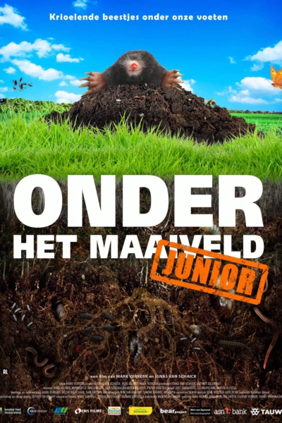 Onder het maaiveld junior