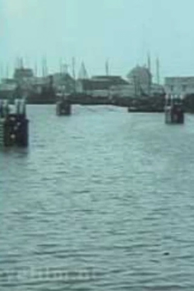 The Fishing Port of Scheveningen