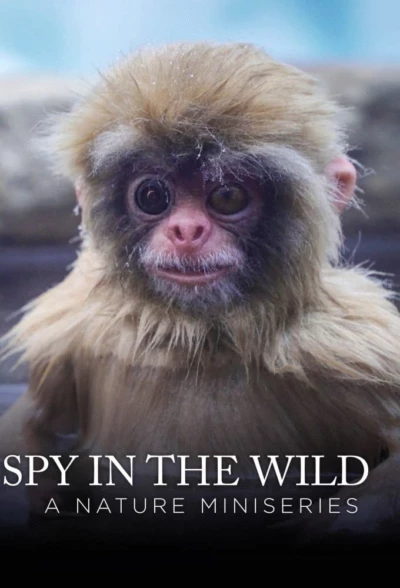 Spy in the Wild: A Nature Miniseries