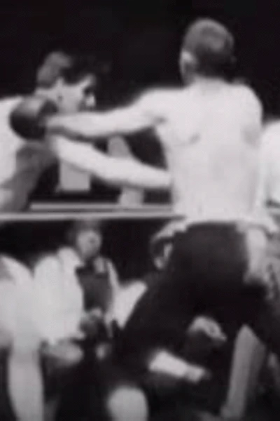 Boxing Match
