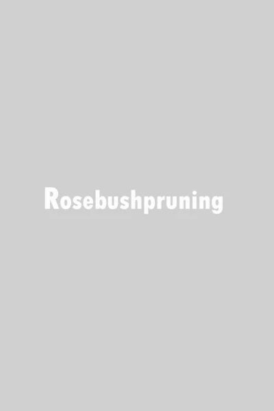 Rosebushpruning