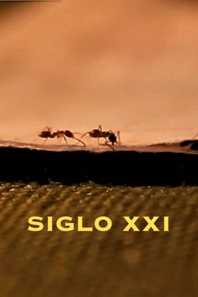 Siglo XXI