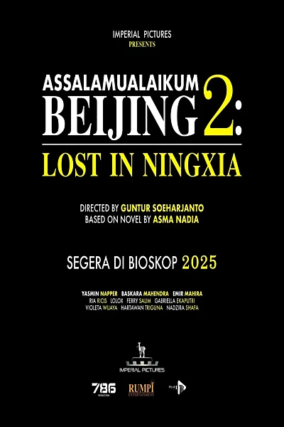 Assalamualaikum Beijing 2: Lost in Ningxia