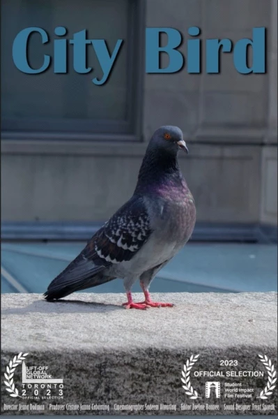 City Bird