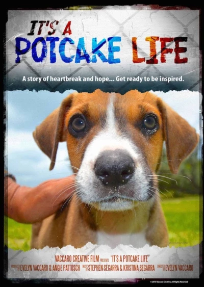 It's a Potcake Life