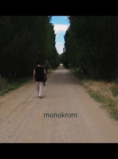 Monokrom