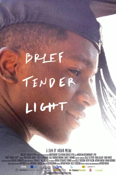 Brief Tender Light