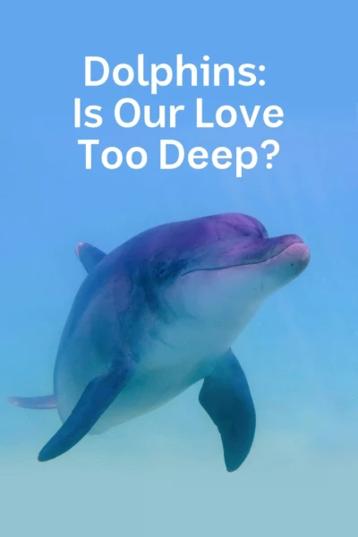 Dolphins: Is Our Love Too Deep?