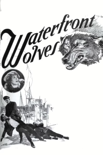 Waterfront Wolves