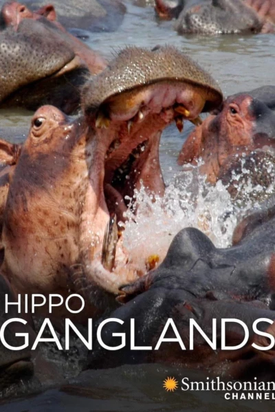 Hippo Ganglands