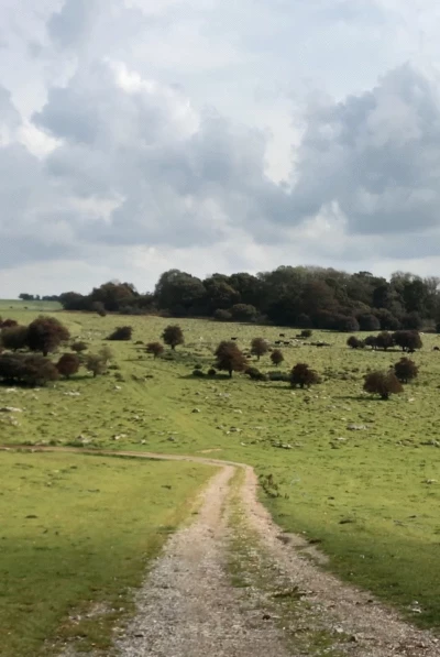 Journey to Avebury