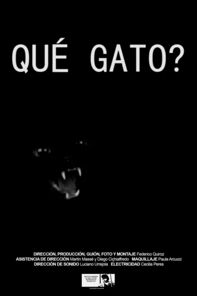 Qué gato?