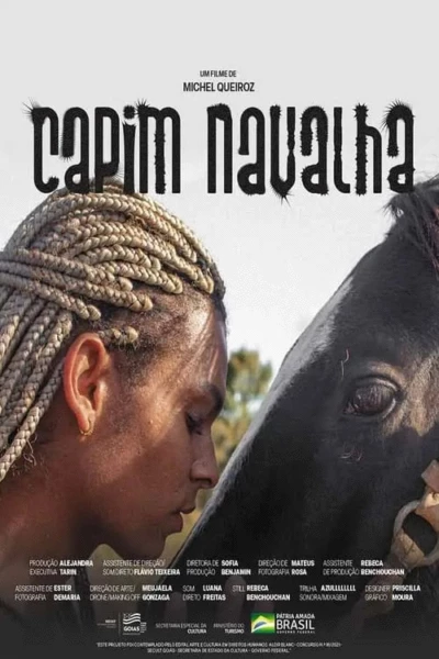 Capim-Navalha