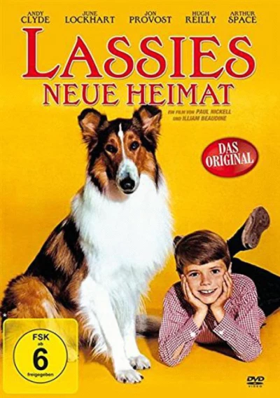 Lassie: The Wayfarers