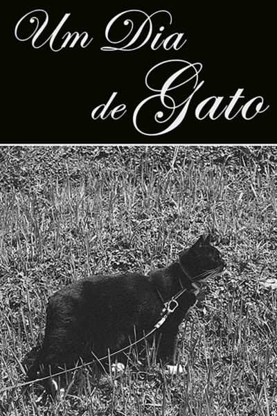 Um Dia de Gato