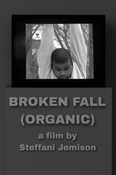 Broken Fall (Organic)