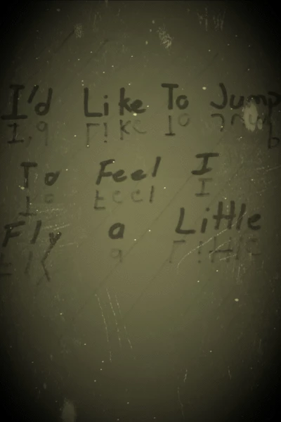 I'd Like to Jump to Feel I Fly a Little