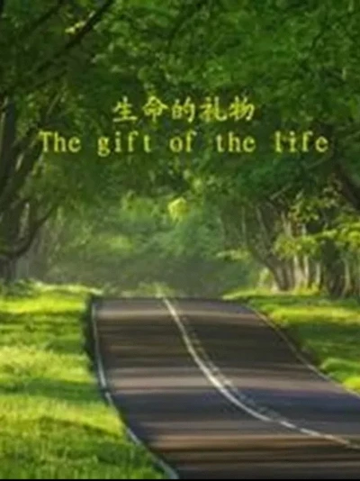 The Gift of the Life