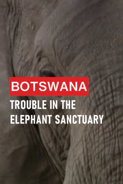 Botswana: Trouble in the Elephant Sanctuary