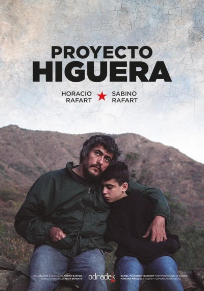 Proyecto higuera