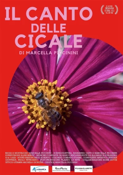 IL CANTO DELLE CICALE