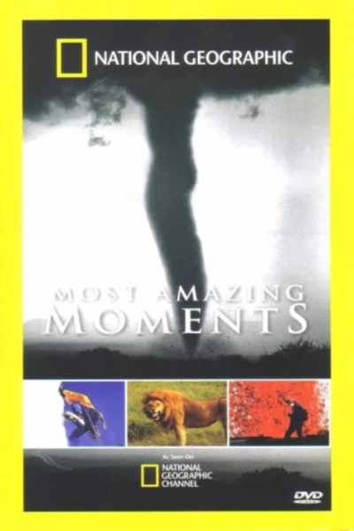 Most Amazing Moments