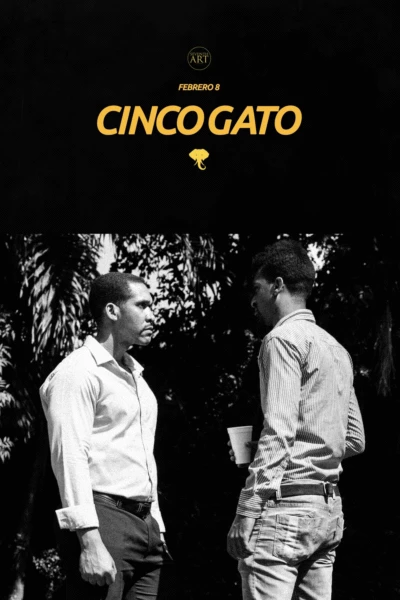 Cinco Gato