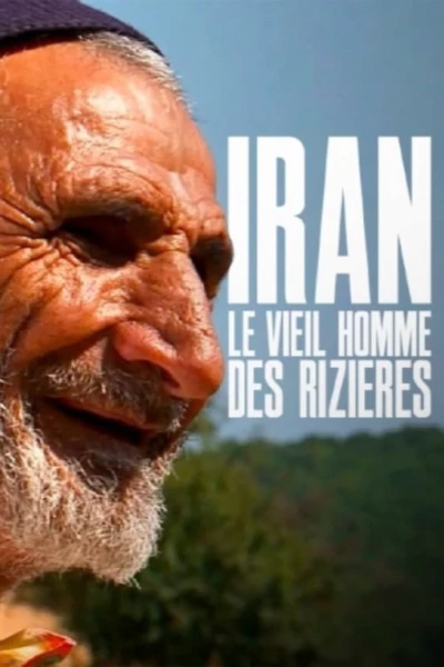 Iran, le vieil homme des rizières