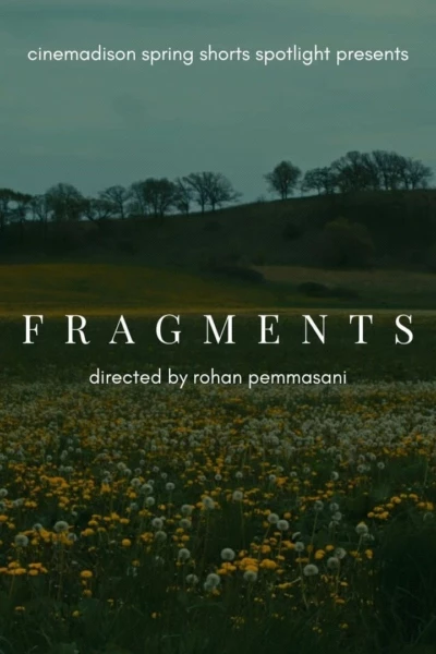 Fragments