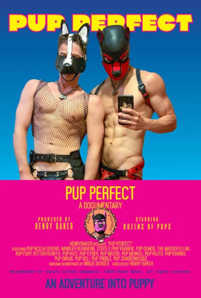 Pup Perfect