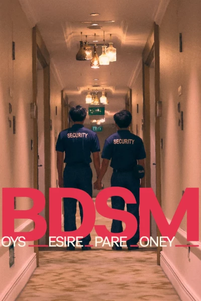 BDSM: Boys Desire Spare Money