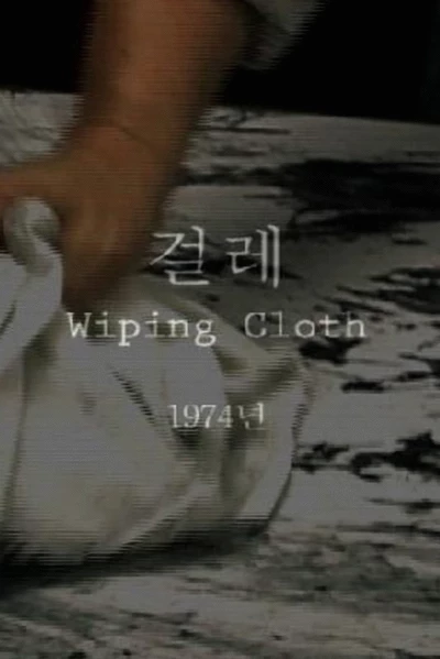 Wiping Cloth