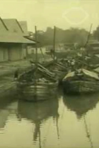 Sugar shipping at the N.V. Afscheep- en Commissiezaak, Formerly J.F. Esser