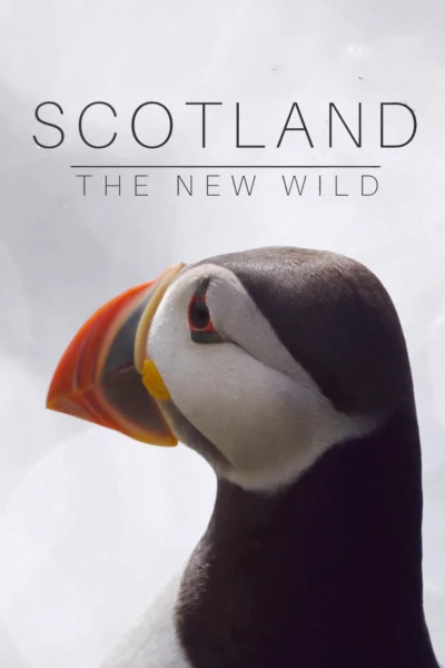 Scotland: The New Wild