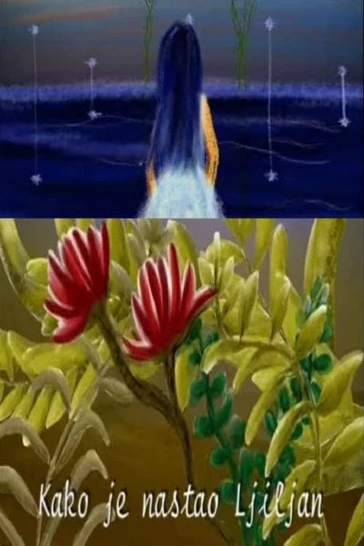 How Did a Lily Arise