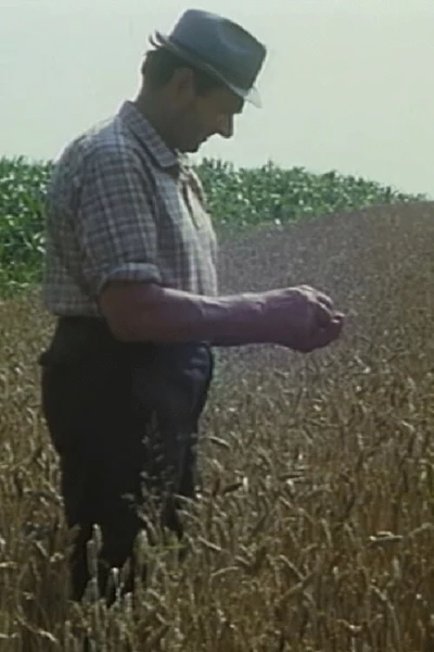 Mikolaš Farmer Worker's First Holidays