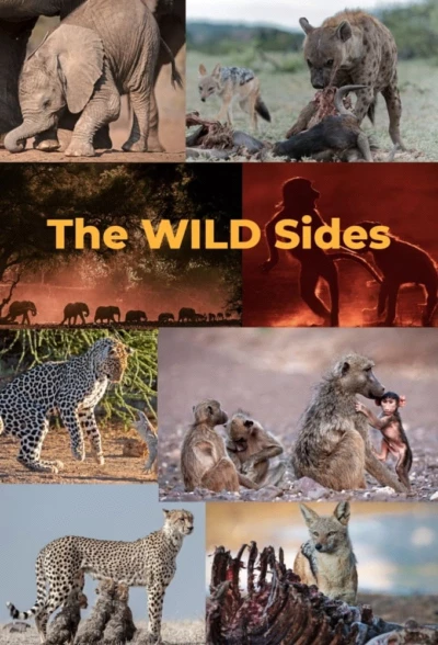 The Wild Sides