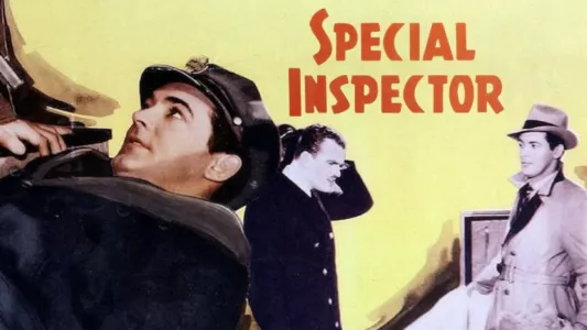 Special Inspector