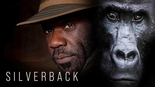 Silverback