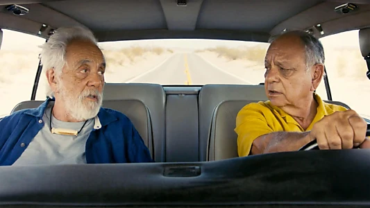 Cheech & Chong's Last Movie