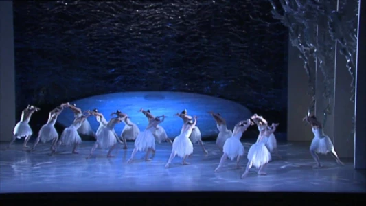 Graeme Murphy's Swan Lake