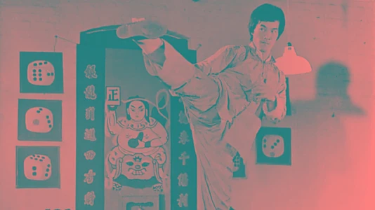 Bruce Lee The Invincible