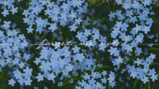 Forget Me Not