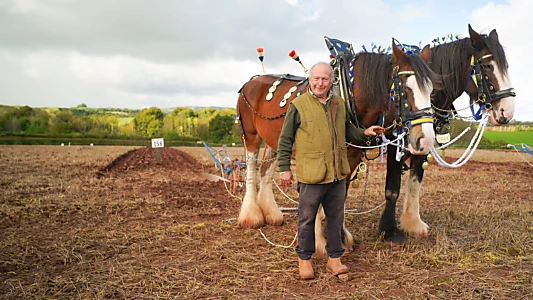 Somerset: Wonder of the West Country