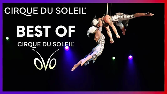 Cirque du Soleil: Best Of